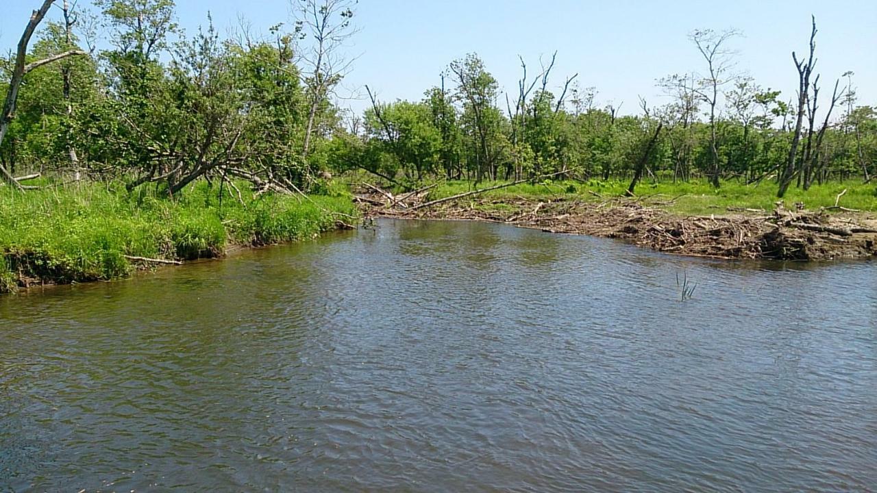 Tsukushi Village Tsurui Dış mekan fotoğraf